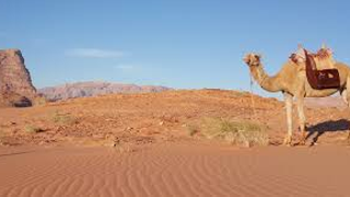 Places to visit Jordan in 7 days